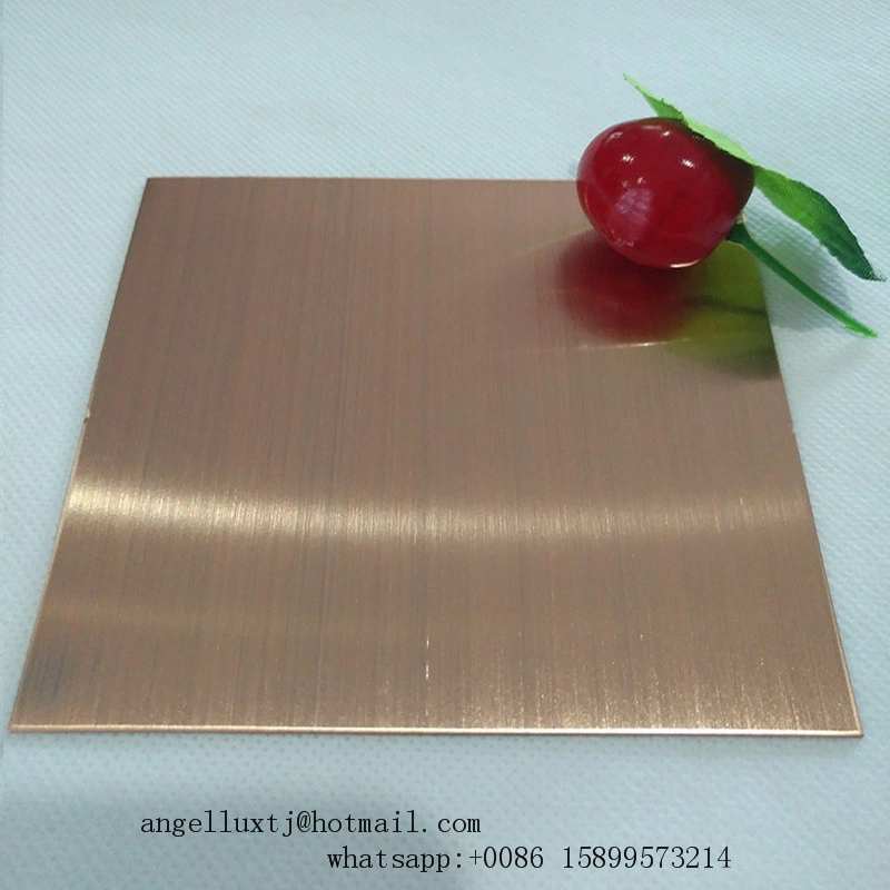 A la venta del indicador de color bronce revestido de PVD 201 acero inoxidable 304 hoja decorativa