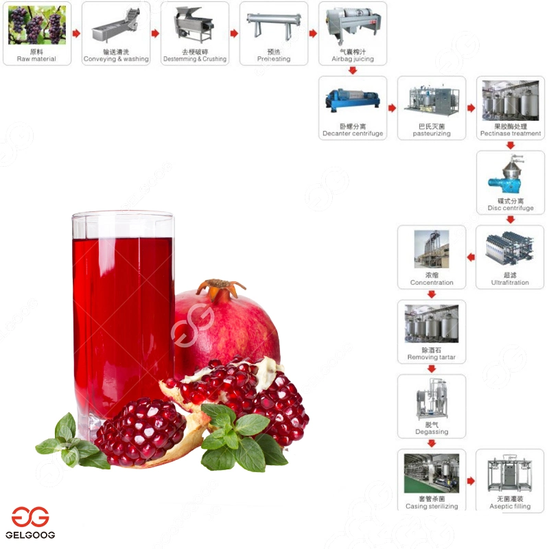 1t/H Pomegranate Processing Equipment Pomegranate Juice Making Production Line