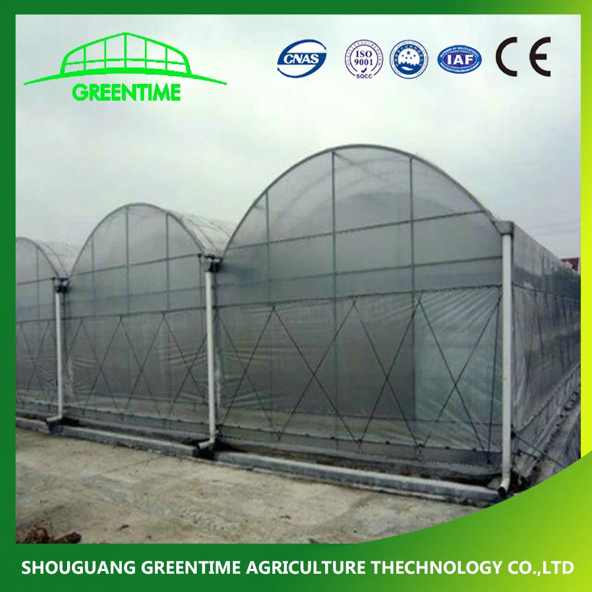 Hot Sale Arch Type PE/Po Film Agricultural Greenhouse for Tomato/ Pepper Planting