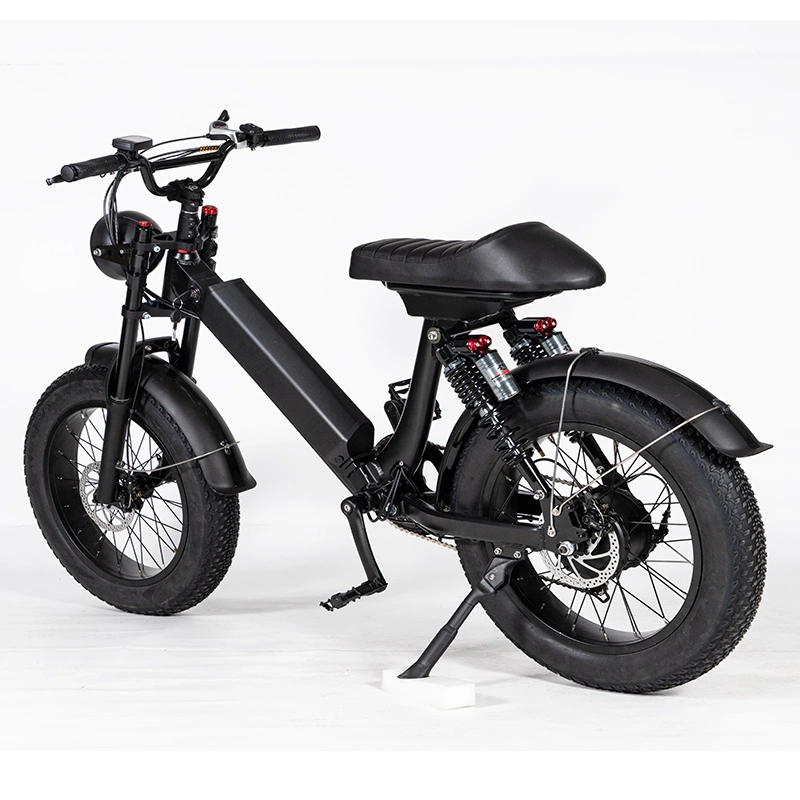 China Ebike Electric bicicleta de montaña con un colorido diseño fresco para la venta