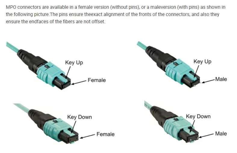 Introduza um cabo de ligação de fibra ótica MPO/MTP para Ligue a grelha no Centro de dados