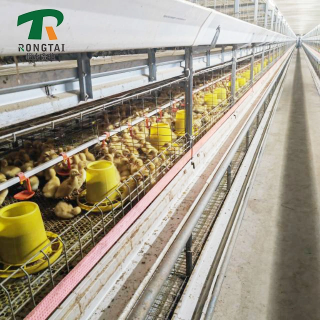 a Type Battery Layer Chicken Cages Automatic Egg Poultry Farming Equipment System