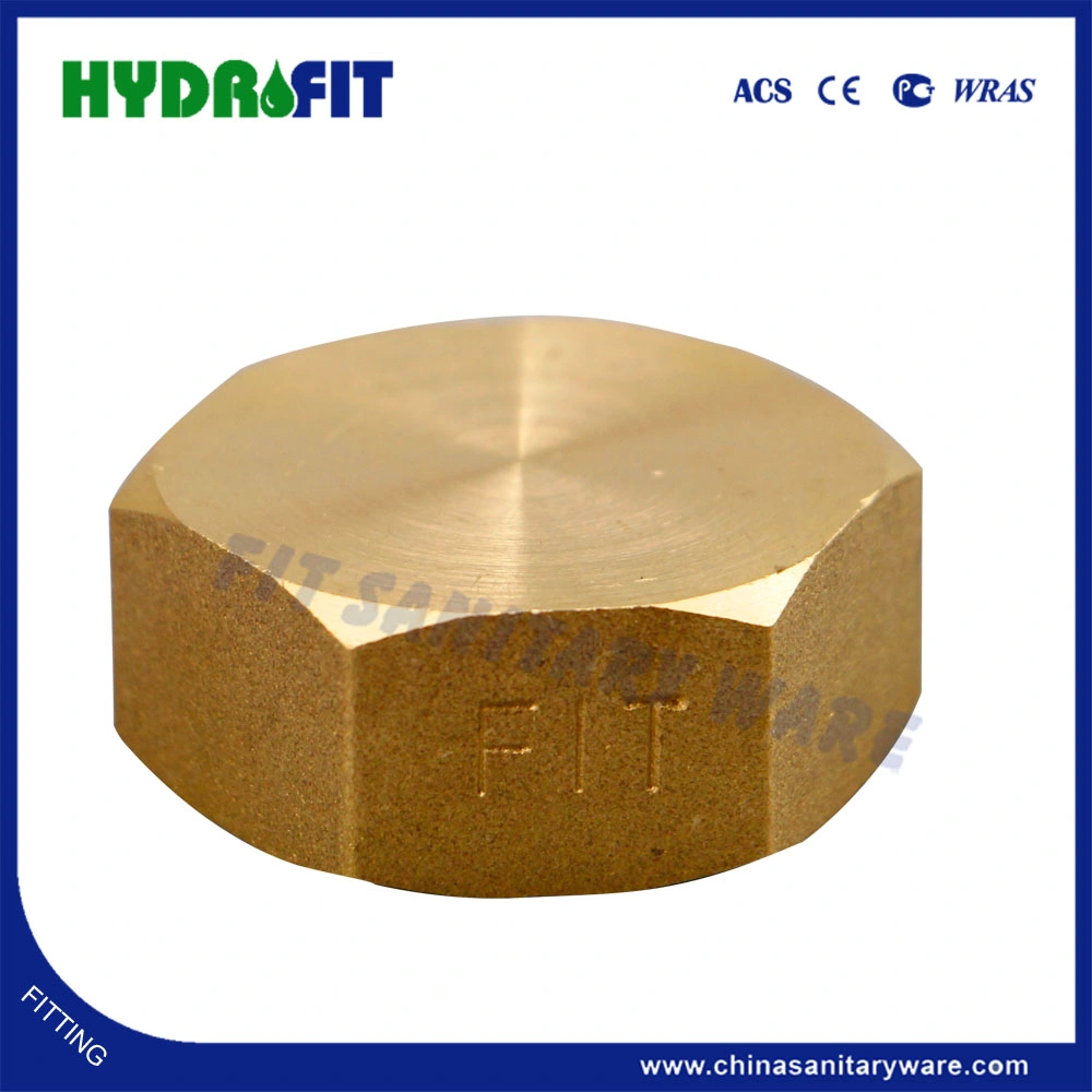 Brass Forged Cap Joint Brass Pipe Fittings for Plumbing (MK12109)