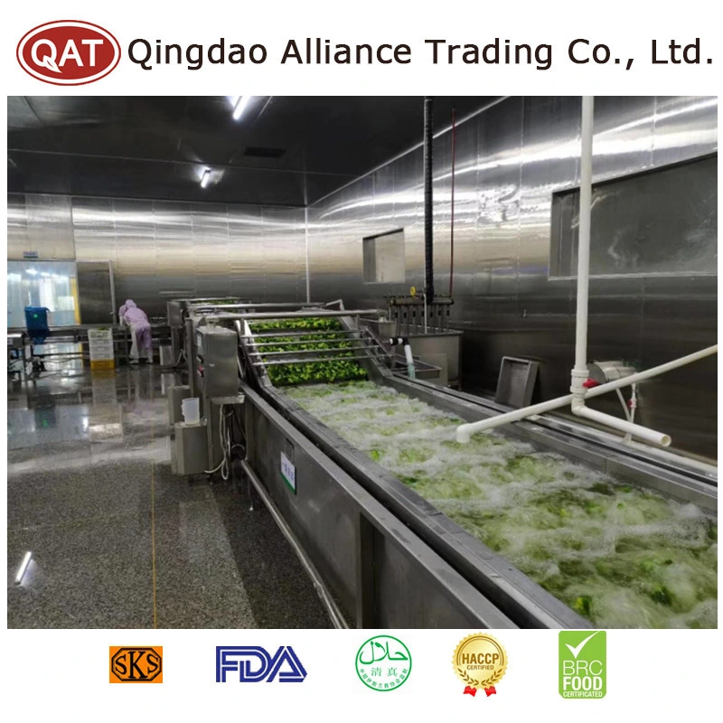 Top Quality Wholesale/Supplier Bulk Packing Fresh Whole Broccoli with Brc HACCP FDA