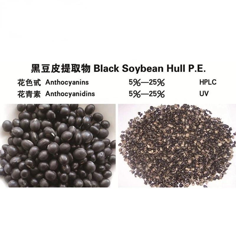 Kosher Certified Organic Black Bean Seed Coat Extract Powder Anthocyanidins 25% Black Soybean Hull Ecxtract