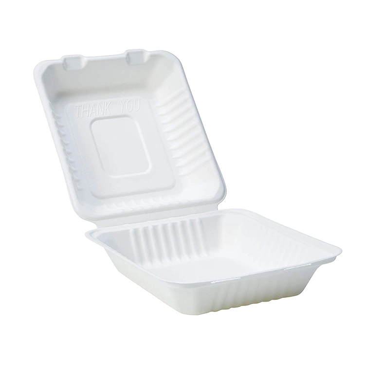 8 Inch Biodegradable Disposable 3 Compartments Clamshell Sugarcane Food Boxes Takeaway Packaging