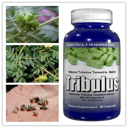 Ex-Stock Herb Medicine Healthcare Supplement Tribulus Terrestris Capsules