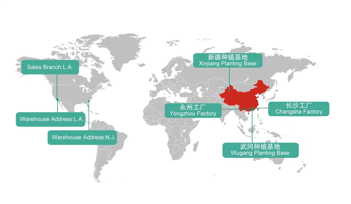 China Panax ginseng derivam o extrato de folhas em pó 3-80% ginsenosídeos (UE, USP, norma FDA)