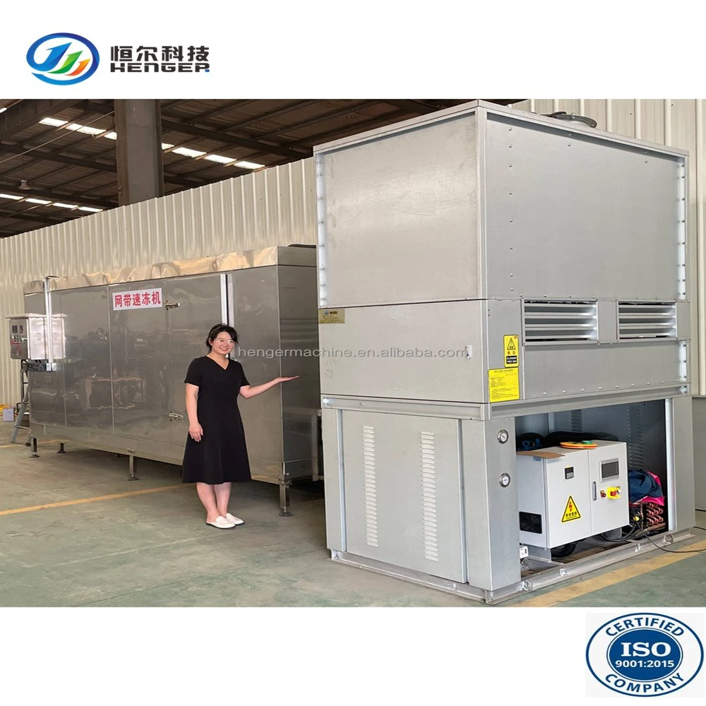 Quick Freezer Refrigeration Equipment for Food Factory