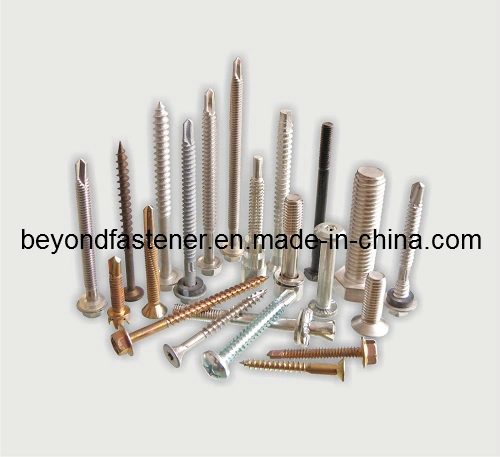 Self Tapping Screw Special Screw B Plastic Screw