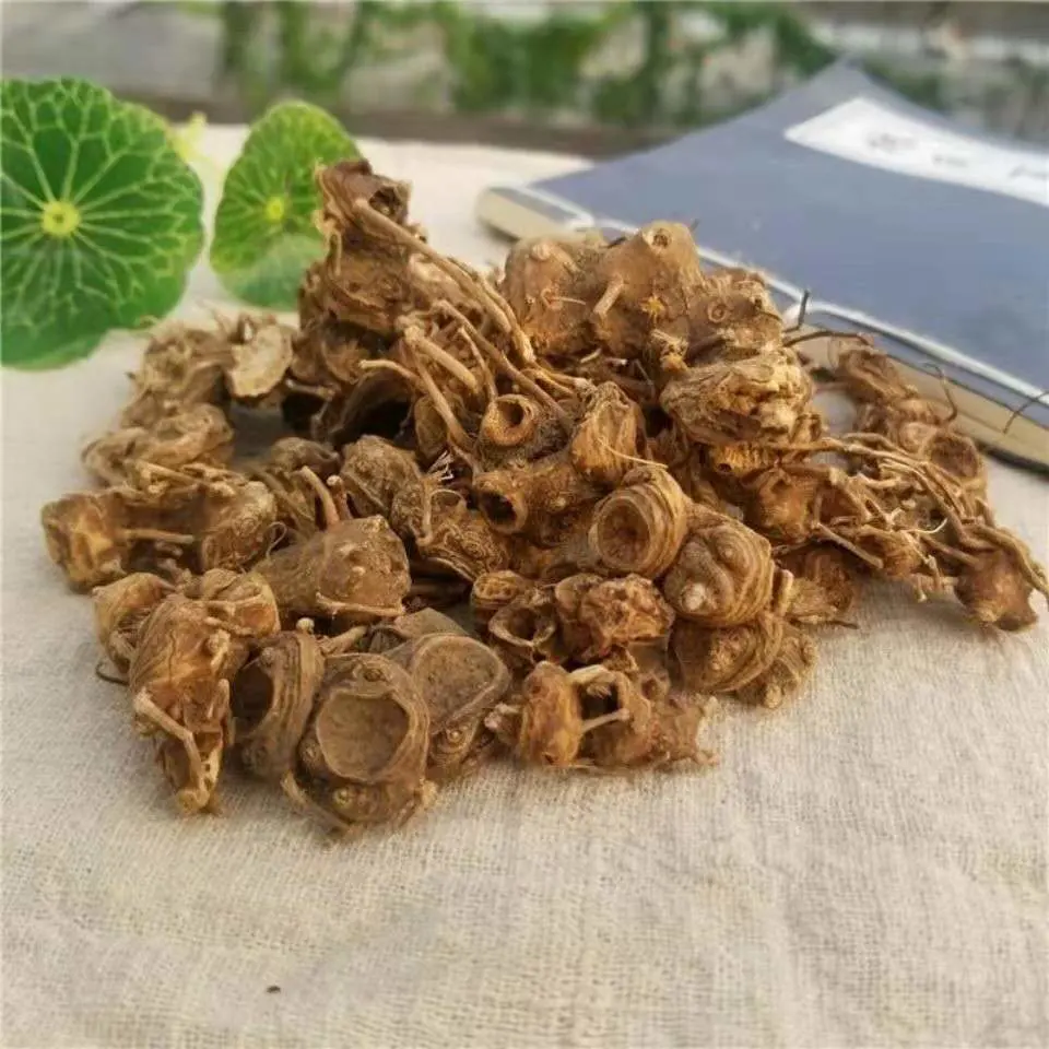 Rhizoma Dysosmatis Extract Powder Dysosma Versipellis