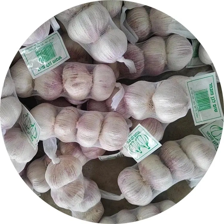 Hot Sale New Crop Garlic Red Color Garlic Bulk Supply 2023