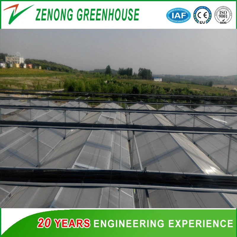 Prefabricated Building Polycarbonate Sheet Multi-Span Greenhouse for Tourism/Flower Cultivation/Seedling Breeding