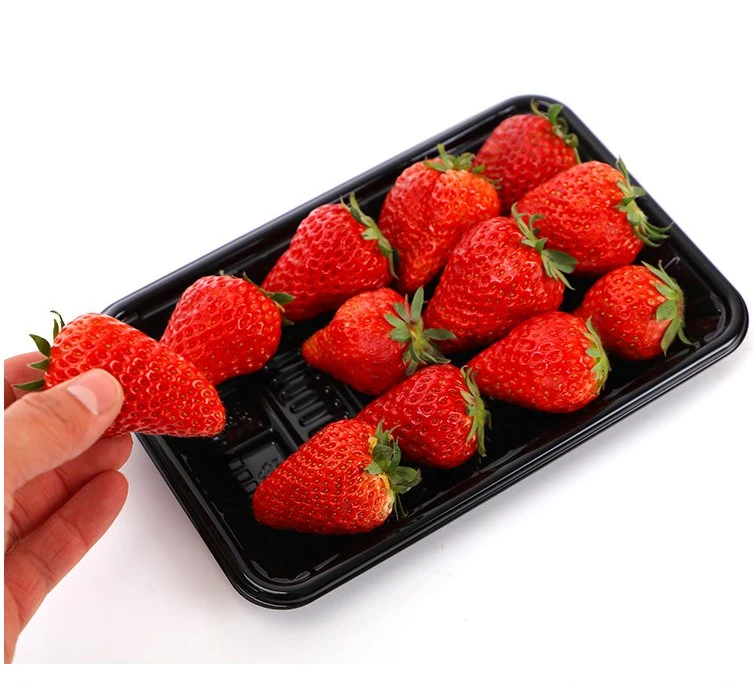 Packaging Meat Display Tray Disposable Blister Food Packaging Food Packing Polystyrene Frozen Plastic 0.1mm~0.3mm Eco-Friendly