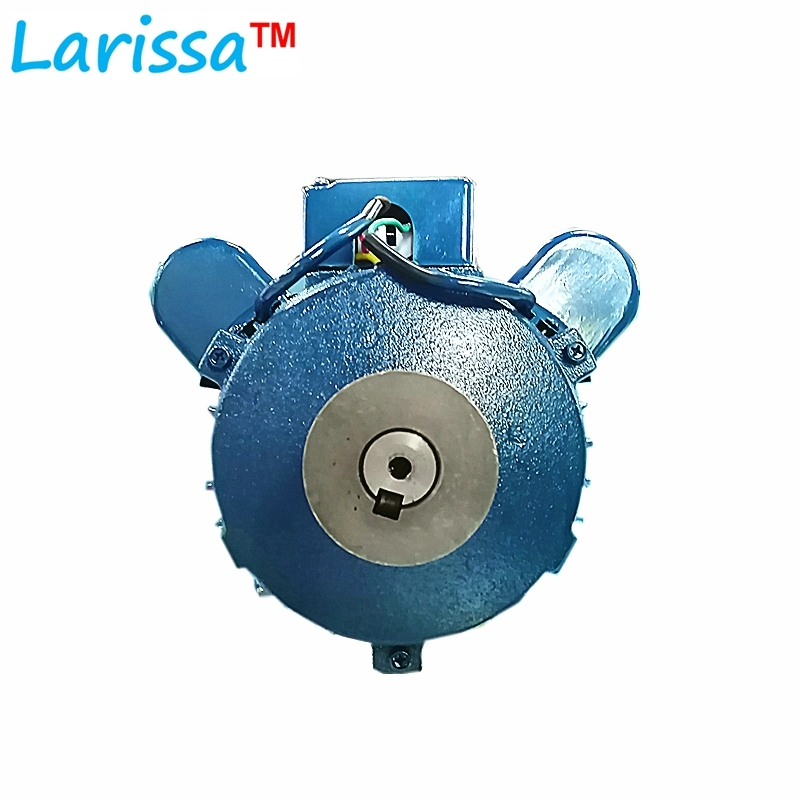 Yc/Yl Single Phase Induction Motor