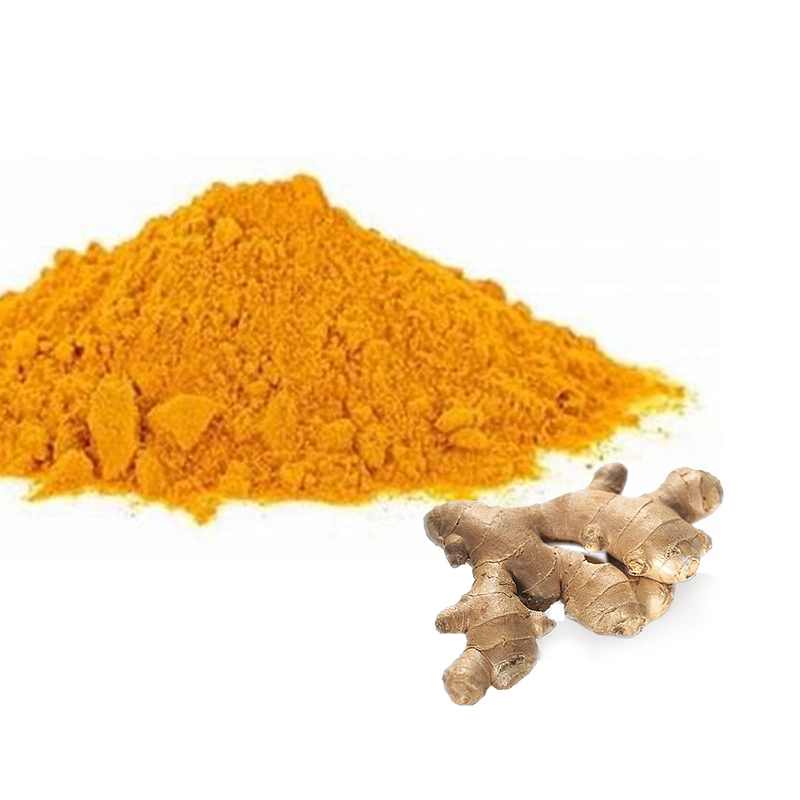 Qualitätssicherung Pflanzenextrakte Curcumin Kurkuma Wurzel Extrakt in Pulver Kurkuma