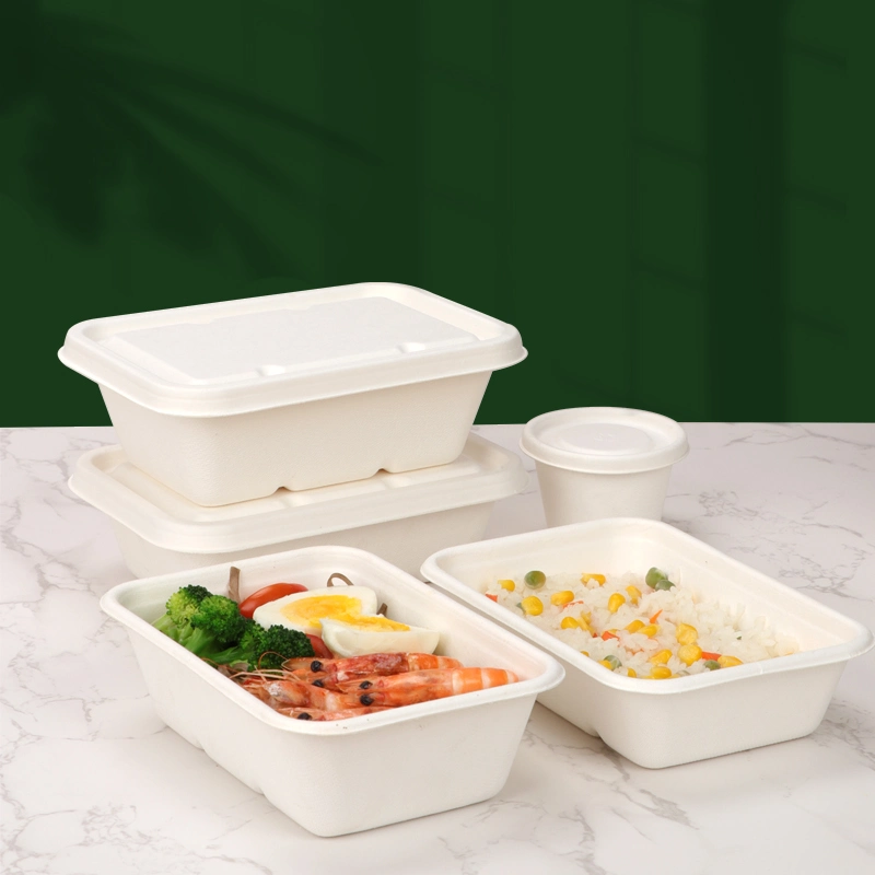 Plastic-Free 100% Compostable Healthy Natural Plant Fiber 550ml Rectangular Sushi Box Snack Box Cake Box Salad Box Food Storage Container with Lid