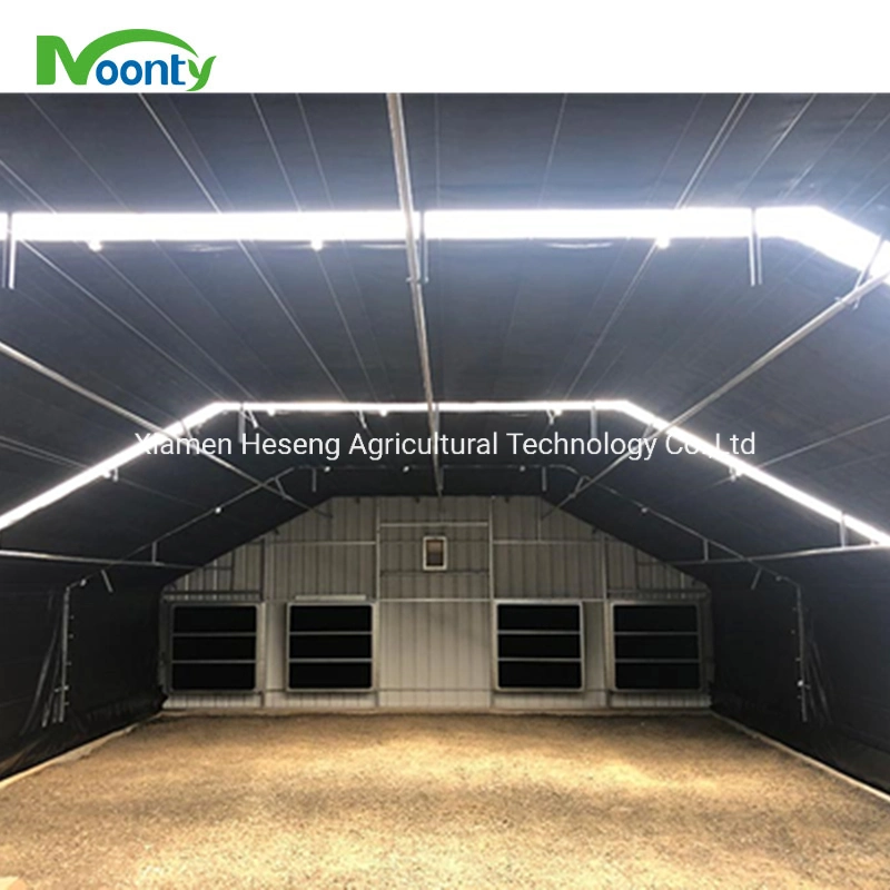 Agricultural Single-Span Tunnel Film Blackout Mushroom Greenhouse with Light Deprivation System for Medical Plants and Mushroom USA/Ca