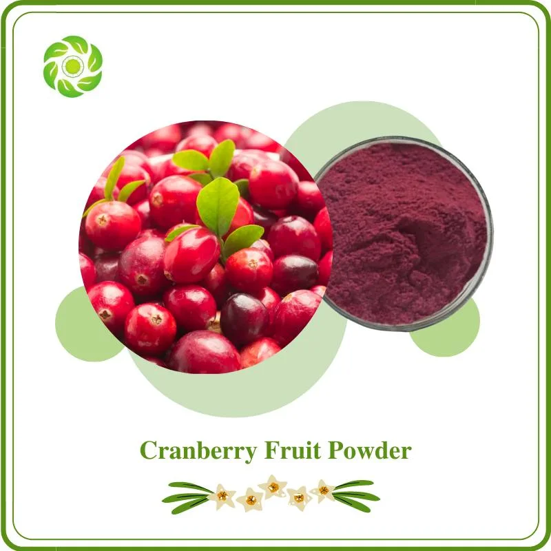 Water Soluble Organic Natural Cranberry Fruit Juice Powder Food Grade