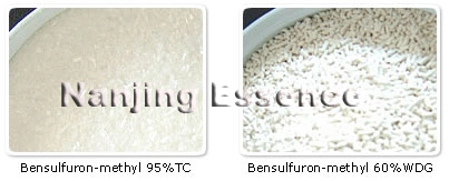 CAS: 83055-99-6 Pesticide Herbicide Agrochemical Herbicide 60% Wdg/Wg Bensulfuron-Methyl