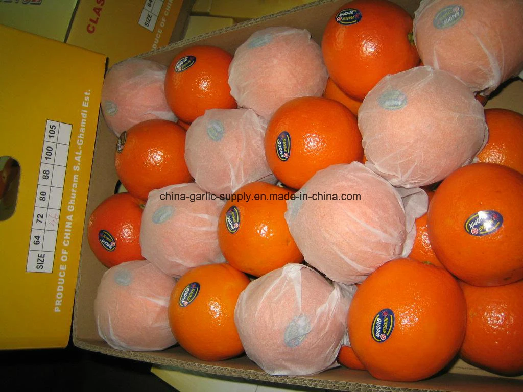 New Crop Wholesale/Supplier Mandarin Fresh First Quality Navel Orange