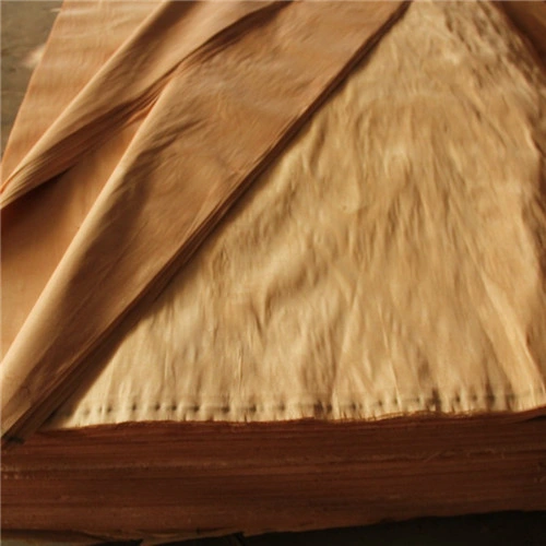 Alta Qualidade Poplar Lácio Natural folheado de madeira