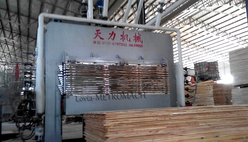 Decorative Veneer Laminating Hot Press Melamine Paper Laminating Hot Press Machine