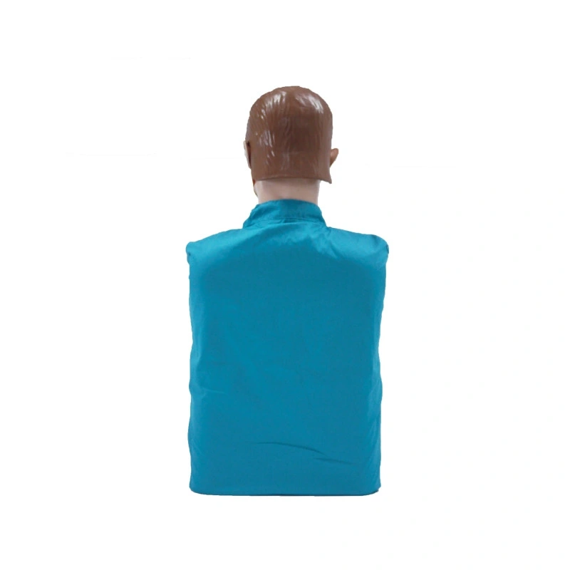 Wholesale/Supplier Half Body CPR Training Manikins Medical CPR Dummy Simple for CPR Practice