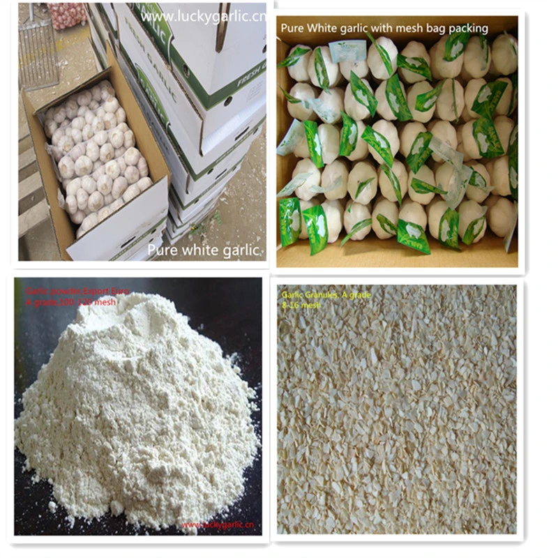 New Crop Dried Garlic Granule Hot Sale