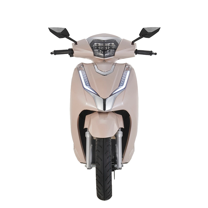 Youyaku Factotery Electric Motorcycle/Scooter with 2000W Motor and Long Endurance High Speed 60-80km/H with 72V/60V Battery