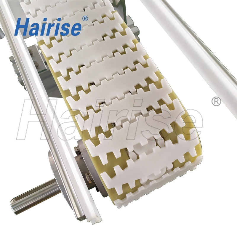 Hairise 140mm Width Flexible Chain Conveyor System with Aluminum Profile