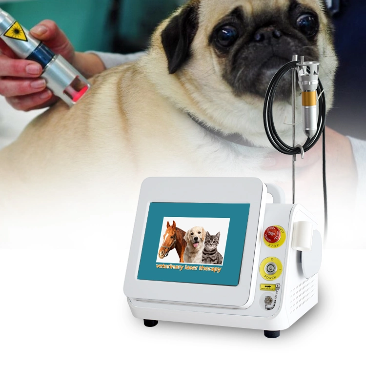 High Intensity 60W Physical Therapy Veterinary Laser Therapy Equipment for Dog Horse Cat Pain Relief