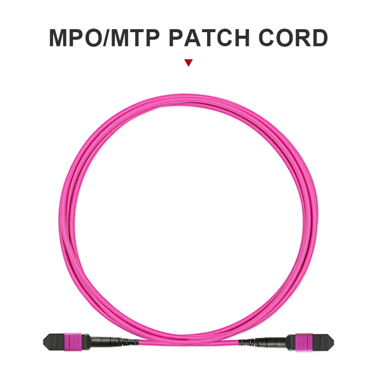 MPO/MTP Singlemode Om2 Om3 Om4 Om5 Fiber Optical Patch Cord/Pigtail