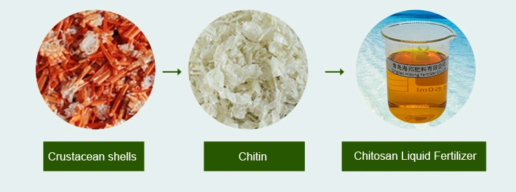 Agriculture Use Bulk Organic Liquid Chitosan Fertilizer