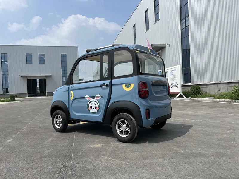 Personnalisation en usine Prix bon marché fermé 2 portes 4 roues avec Petite voiture électrique Dandle Bar.