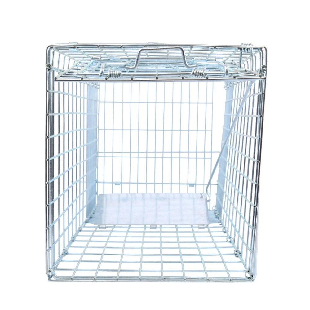 Small Fishing Cat Folding Cage Heavy Duty Dog Cage Trap Wbb18082