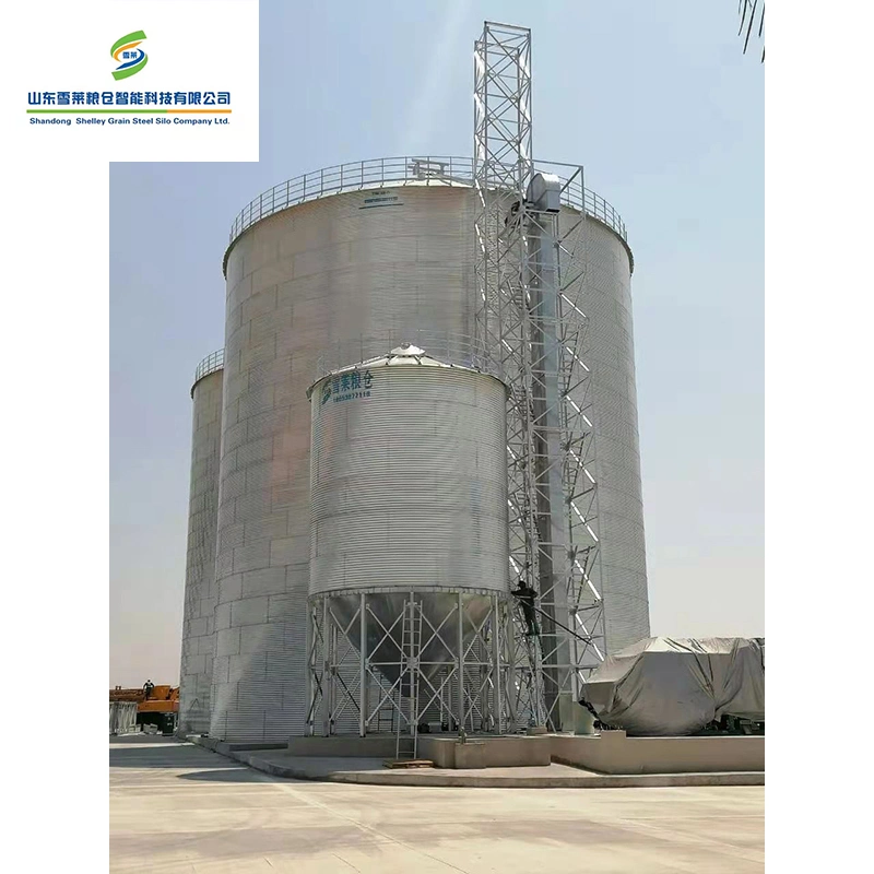 China Manufacturer 3000 Ton Steel Maize Grain Flat Bottom Wheat Soybeans Silo