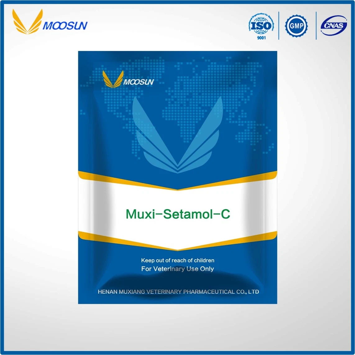 Veterinary Drug 30%+30% Paracetamol +Vc Water Soluble Powder Animal Medicine