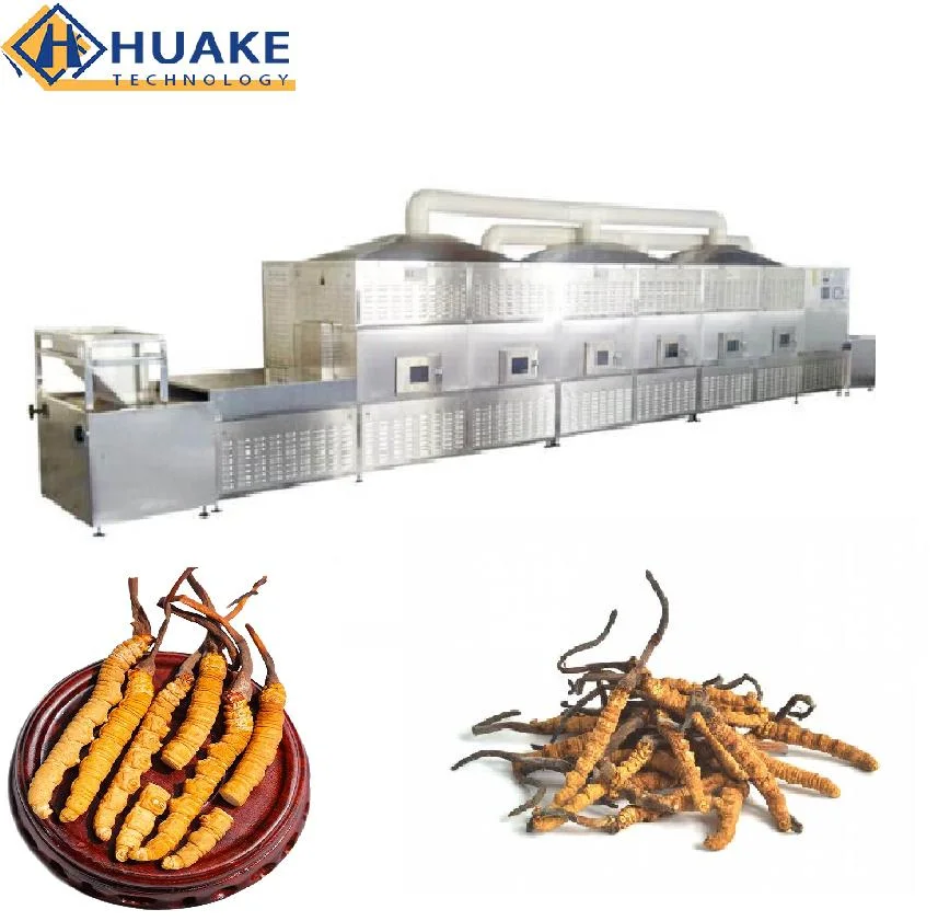 Multifunctional Customized Stainless Steel 380V Chemical Industrial Microwave Drying Equipment