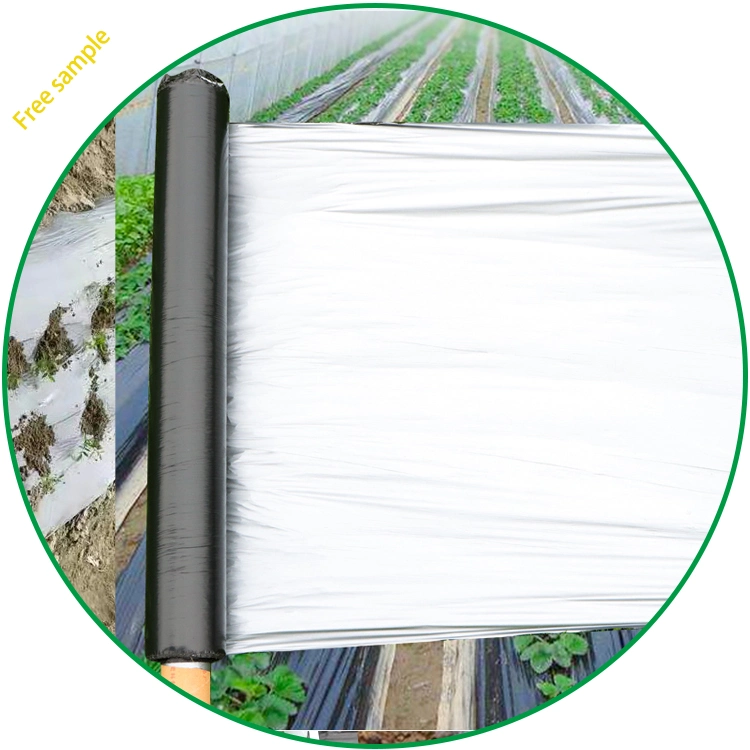 Agricultura Productos Plásticos 100% Nuevo material PE Negro &amp; Plata película Plástica Mulch, Weed Control Mulch capa con buena calidad