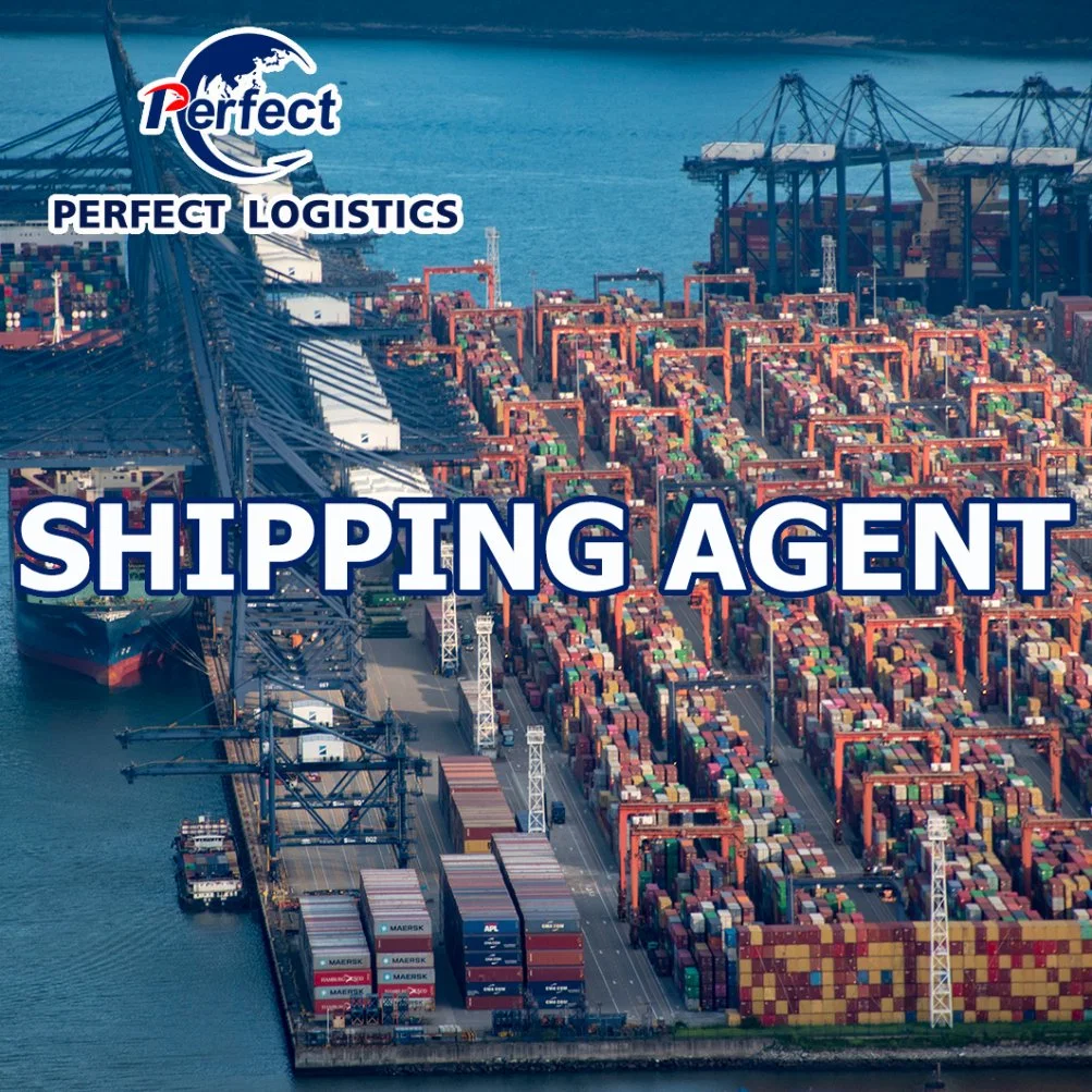 Ocean Consolidação de cargas Agente de Transferência de Shenzhen China Sapin/França