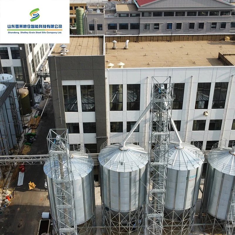 500 ~ 15000 toneladas Tolva de acero de grano de arroz cáscara de maíz para silo de almacenamiento de trigo Silos cono