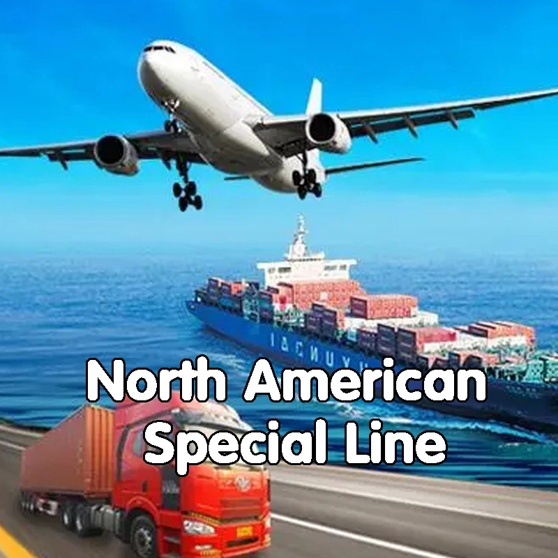 Best Seller Free Cargo Consolidation DDU DDP Shipping Air Freight From China to USA/Canada/Mexico