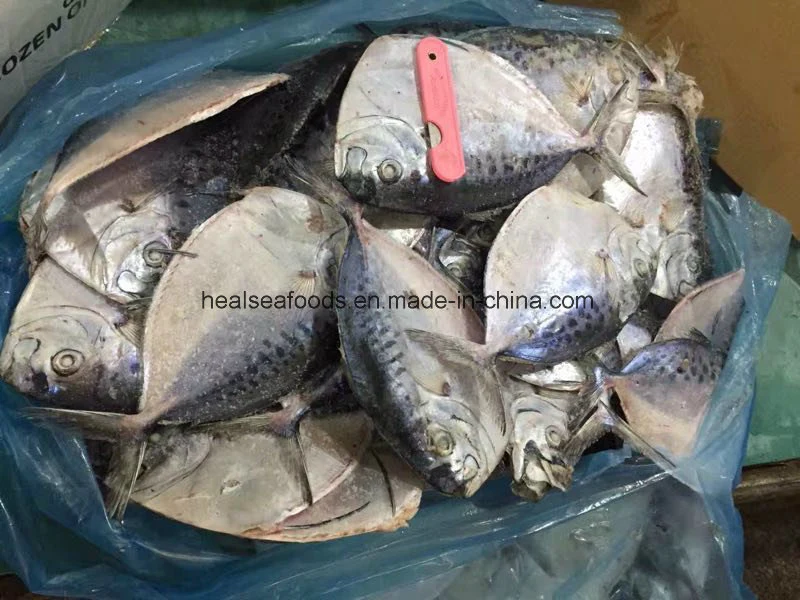 Chinese Manufacturer 100-150g Frozen Moonfish