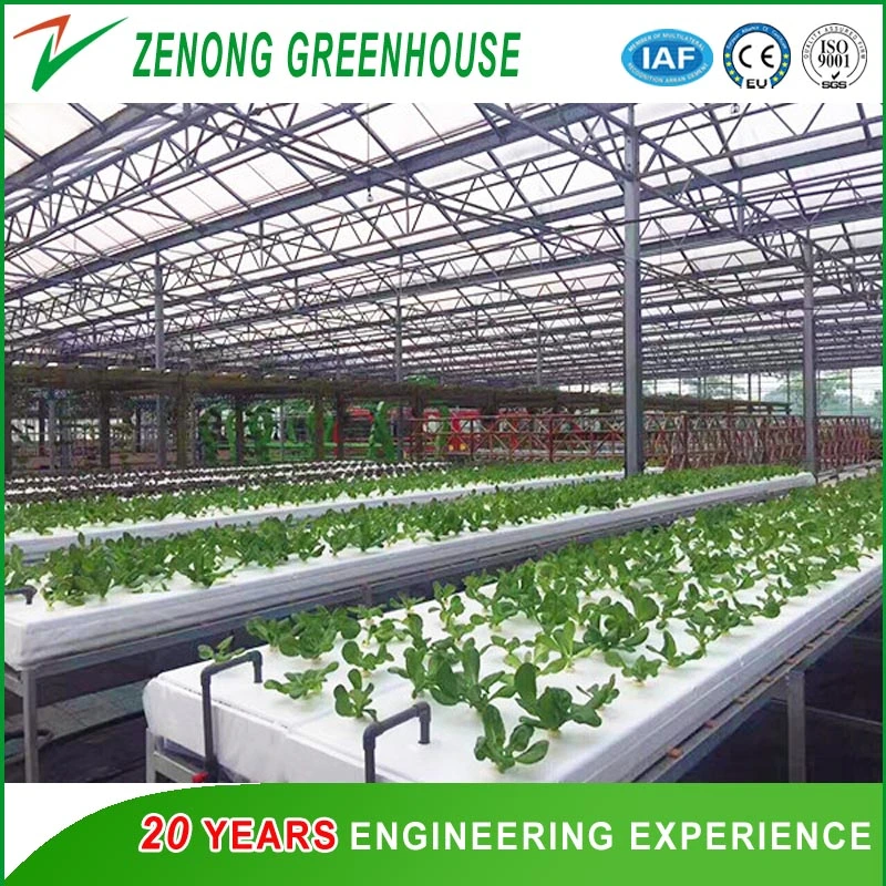 Aquaponic/Hydroponic Green House Covered with High Transmittance Glass