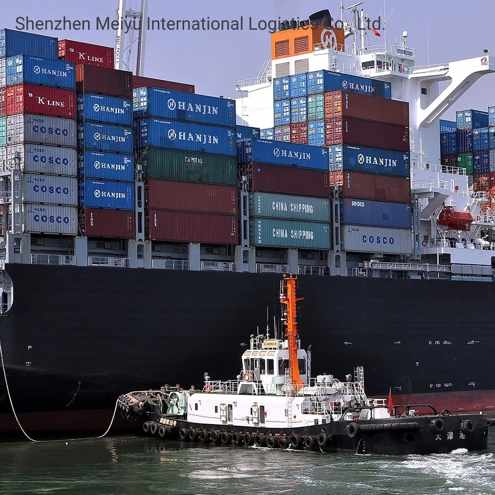 LCL FCL cargo Container Sea Transportation Company para todo o mundo