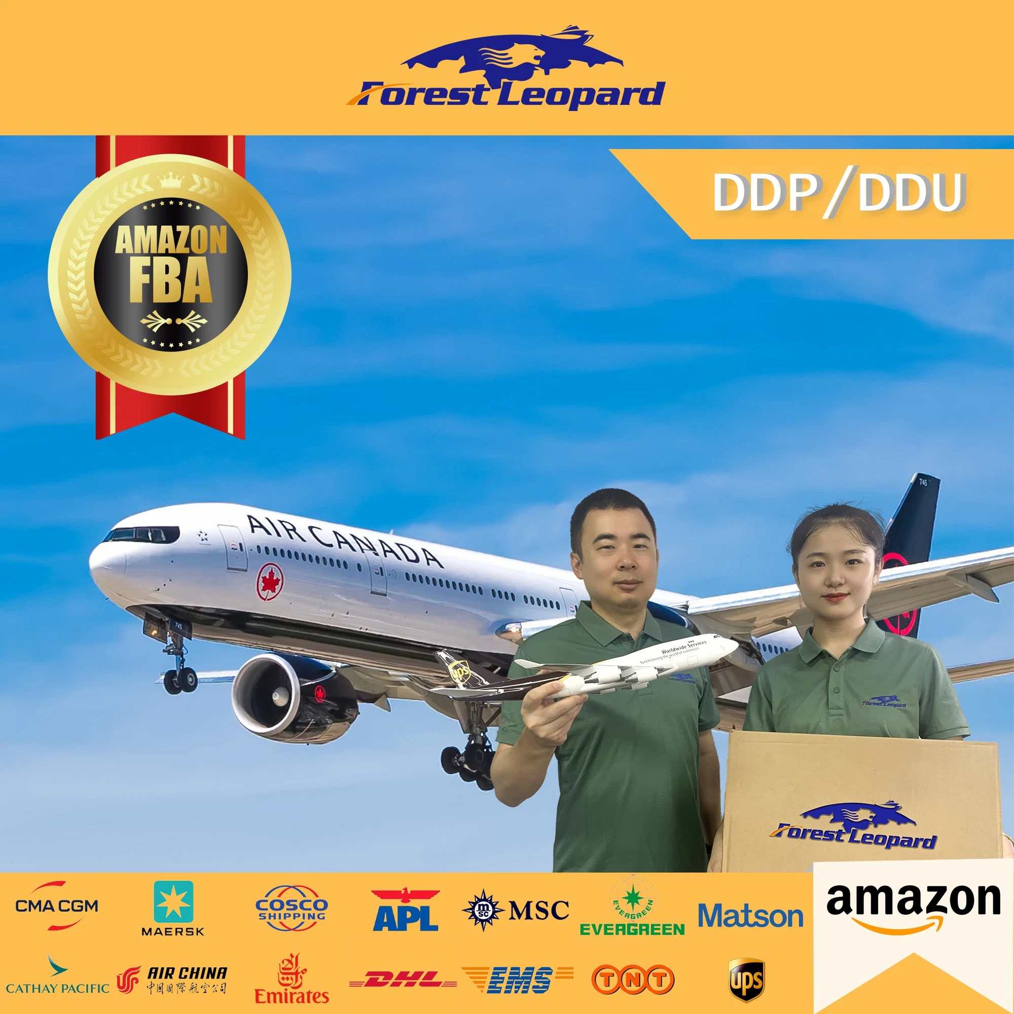 Cheap Air Freight Cargo to Dubai Philippines USA Bulgary Chartering Door to Door DDP DHL Track Logistics