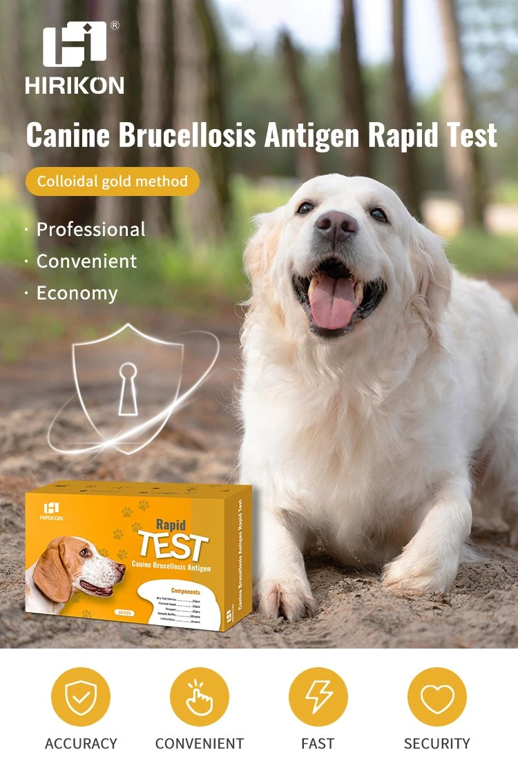 Hirikon Kit de prueba rápida de antígenos de brucelosis para perros fiable y cómodo