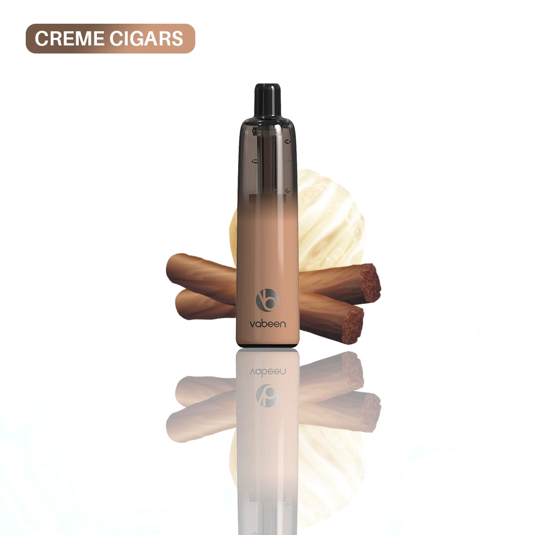 Vabeen 5000 Puffs 15 Flavors Pod Rechargeable Disposable Vape Ecigarette