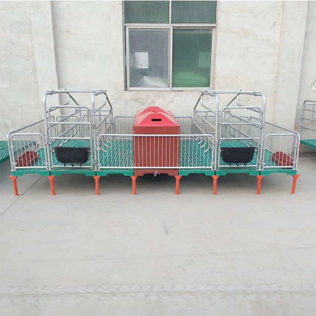 Pig Crate Fence Farrowing Cage for Pig Farming Equipment